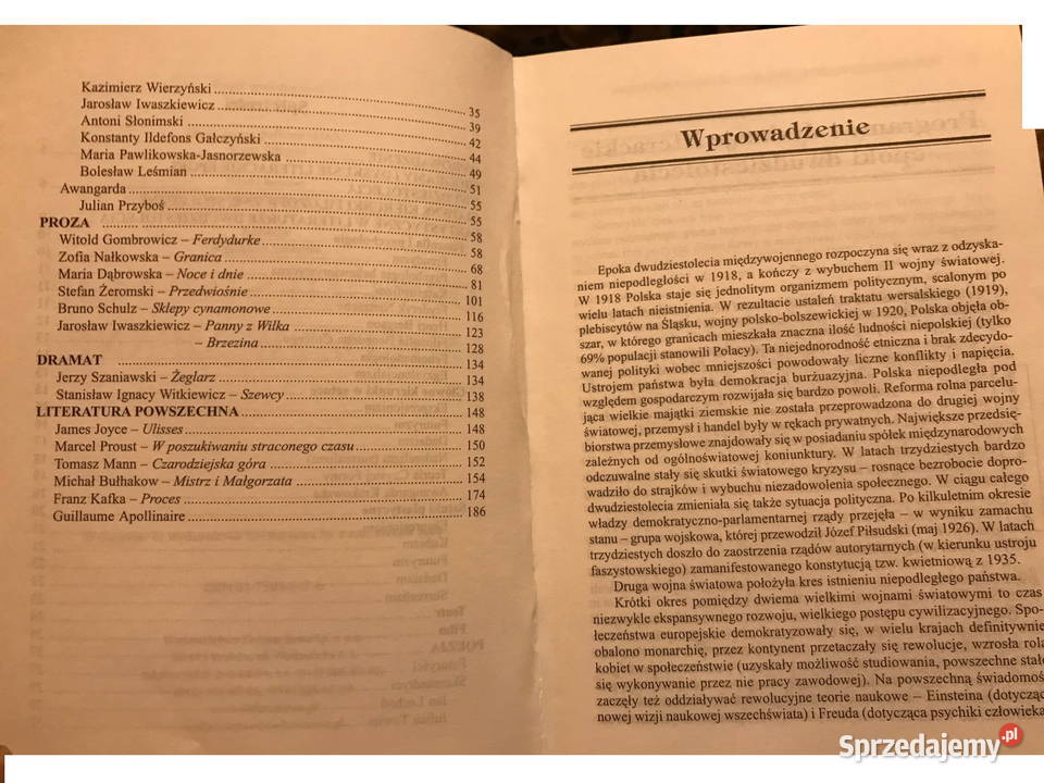 Agnieszka Krawczyk Lektury licealisty język polski lubuskie Zbąszynek