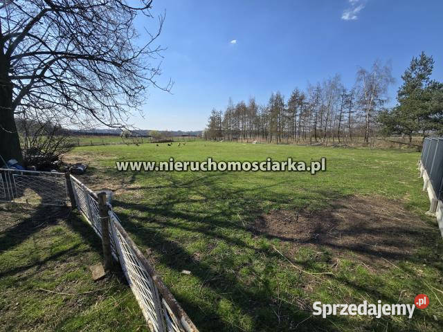 sprzedaży działki Krostoszowice 5514m2