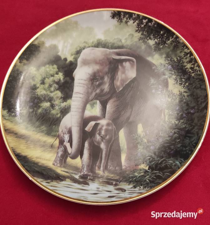 Słoń azjatycki Will Nelson Fine China Plate Pabianice sprzedam
