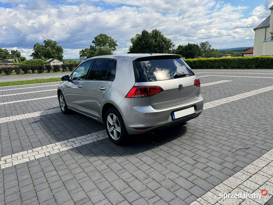 Volkswagen Golf VII 16 TDI 105 Led Navi Bliżyn sprzedam
