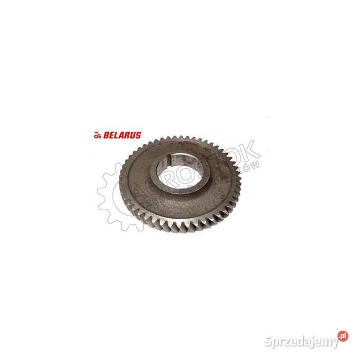 Koło zębate wału korbowego mtz 1221 z50 oryginał Parczew