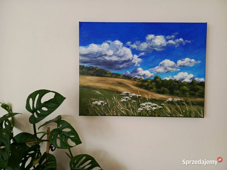Obraz olejnyKrwawnik łąka kwiaty pejzaż Łęki Strzyżowskie