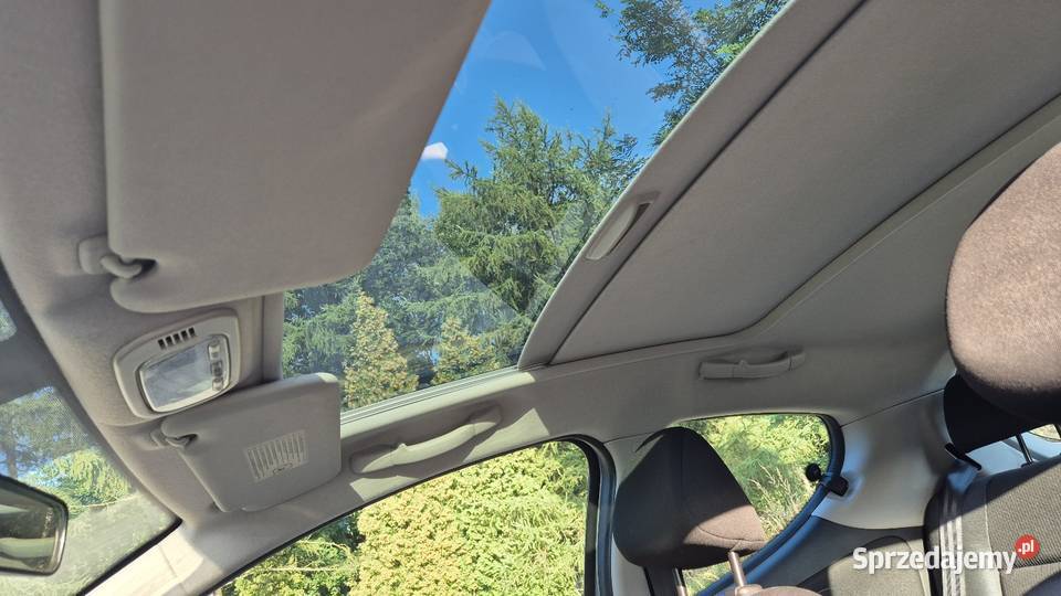 Peugeot 207 radio śląskie Niezdara