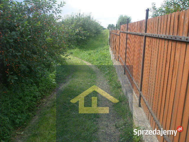 Działka w Nadbrzeżu polna