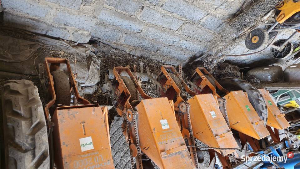 Sprzedam siewnik do buraków siewnik do kukurydzy nieuszkodzony Lasocice