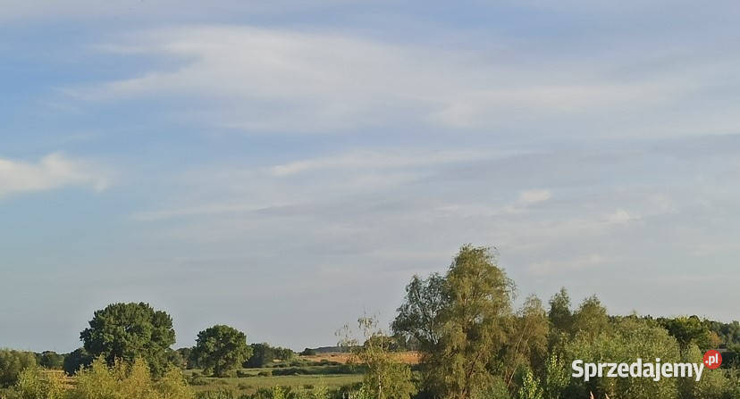 ŚWIETNA S5 W DOBRCZU sprzedam