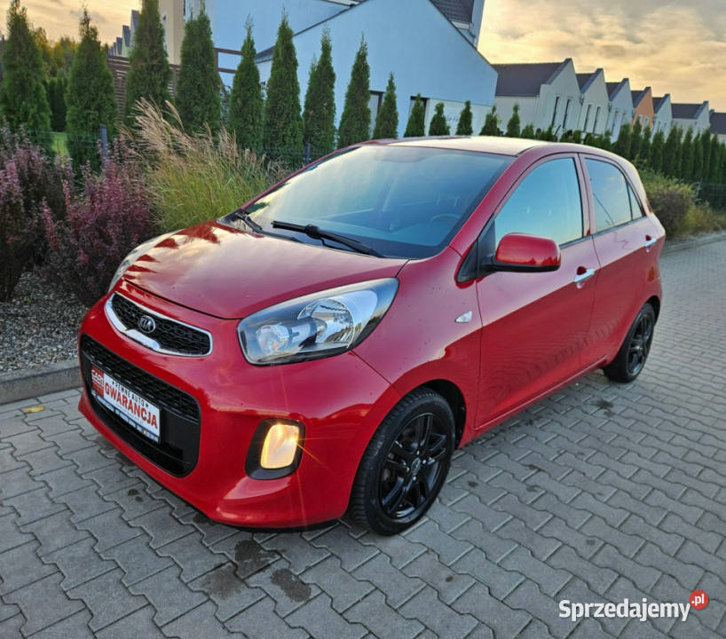 Kia Picanto Zadbany Lift Oryg73 Rata500 II 2011 benzyna