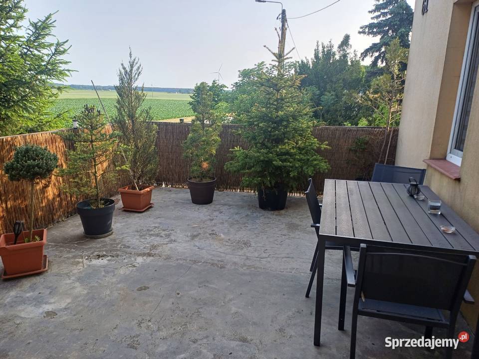 Sprzedam mieszkanie Krzyżanów