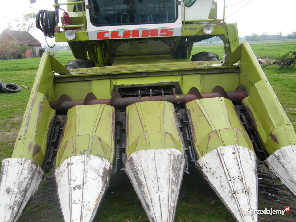 przystawka do kukurydzy claas 4x75 zcieciem lody wielkopolskie Pieruszyce