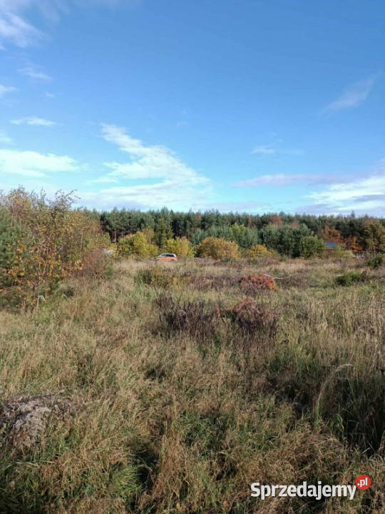 JUSZOWICE gmina Rudna KLIMATYCZNA DZIAŁKA z MPZP dolnośląskie