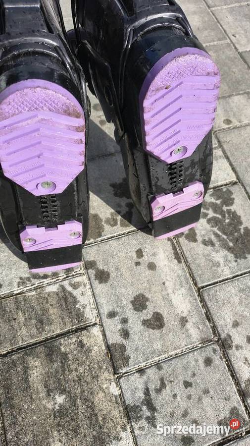 Buty narciarskie salomon 3435 a wkładka 225230mm Narty