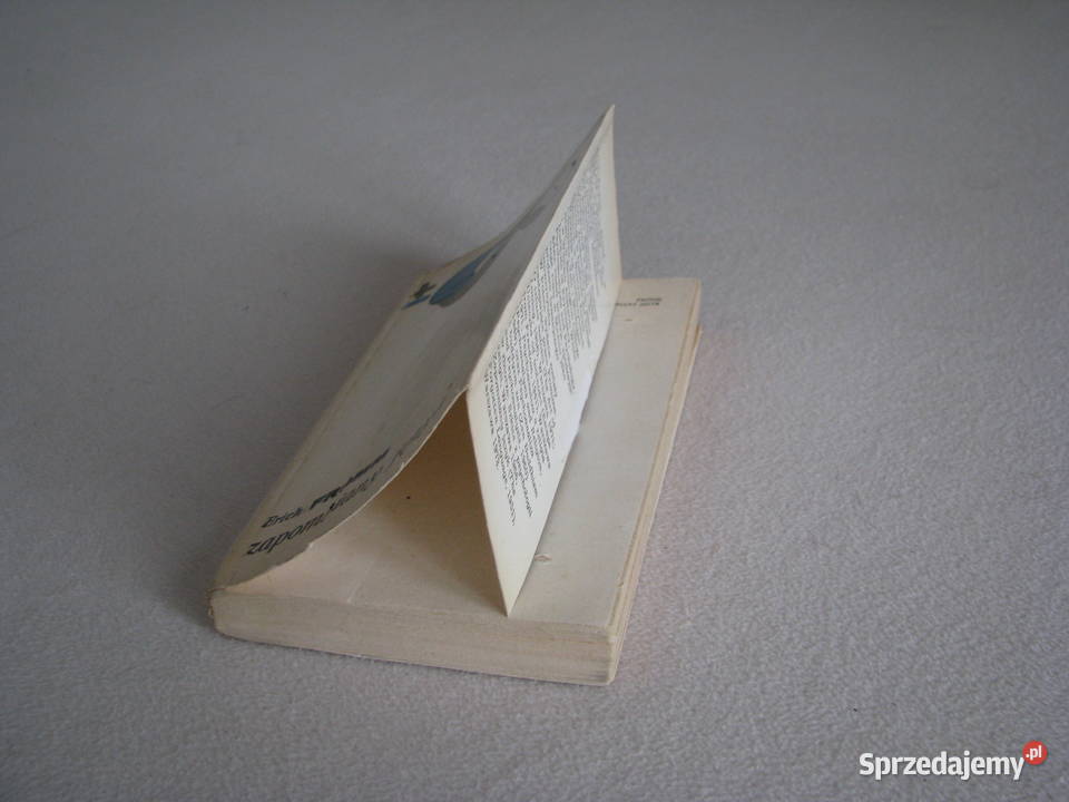 Zapomniany język Wstęp do rozumienia snów baśni Brzegi