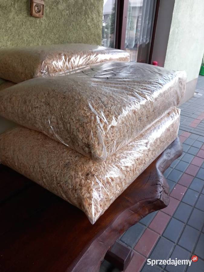 trociny chomika królika Nowe Miasto Lubawskie