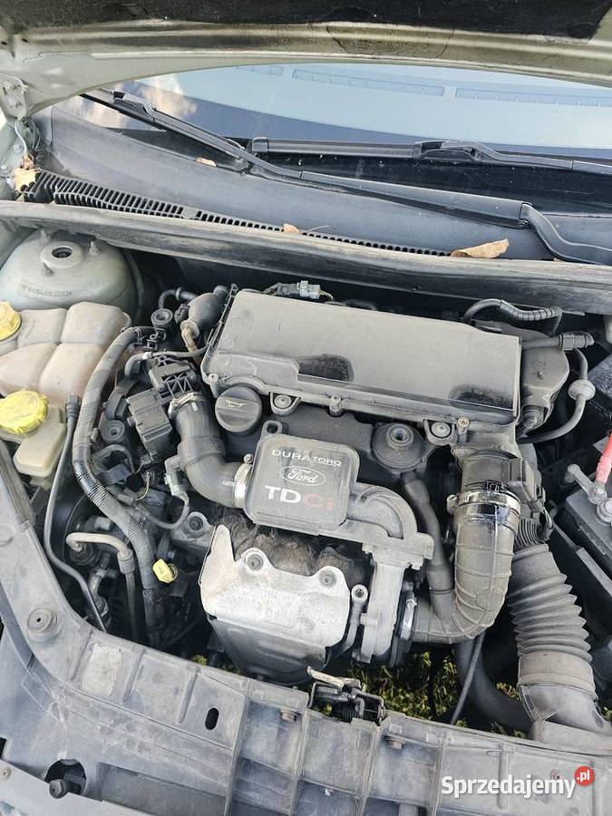 Ford fiesta nieuszkodzony Bukowice