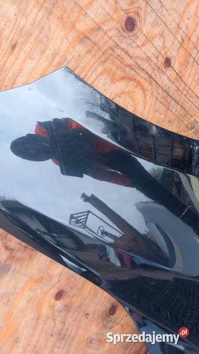 RENAULT MEGANE III BŁOTNIK PRZÓD PRAWY NV676 Błotniki wielkopolskie sprzedam