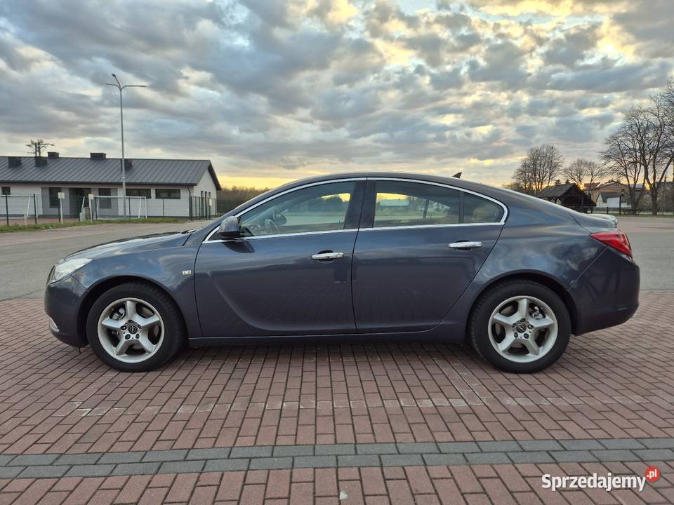 Opel Insignia A lubelskie Zagóźdź