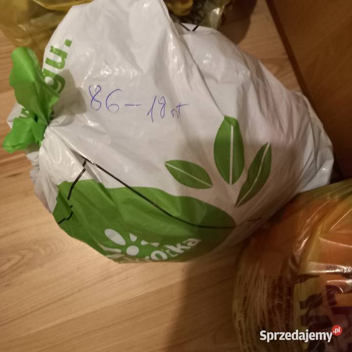 Ubrania chlopiece Rozmiar XXS podkarpackie Cieklin