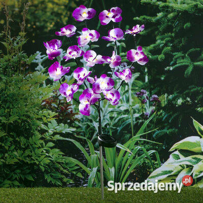 HI Ogrodowa lampka solarna w kształcie orchidei Warszawa
