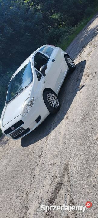 Fiat Punto Fiat Grande Punto 12 8V 69 2012r nieuszkodzony lubuskie Sulęcin
