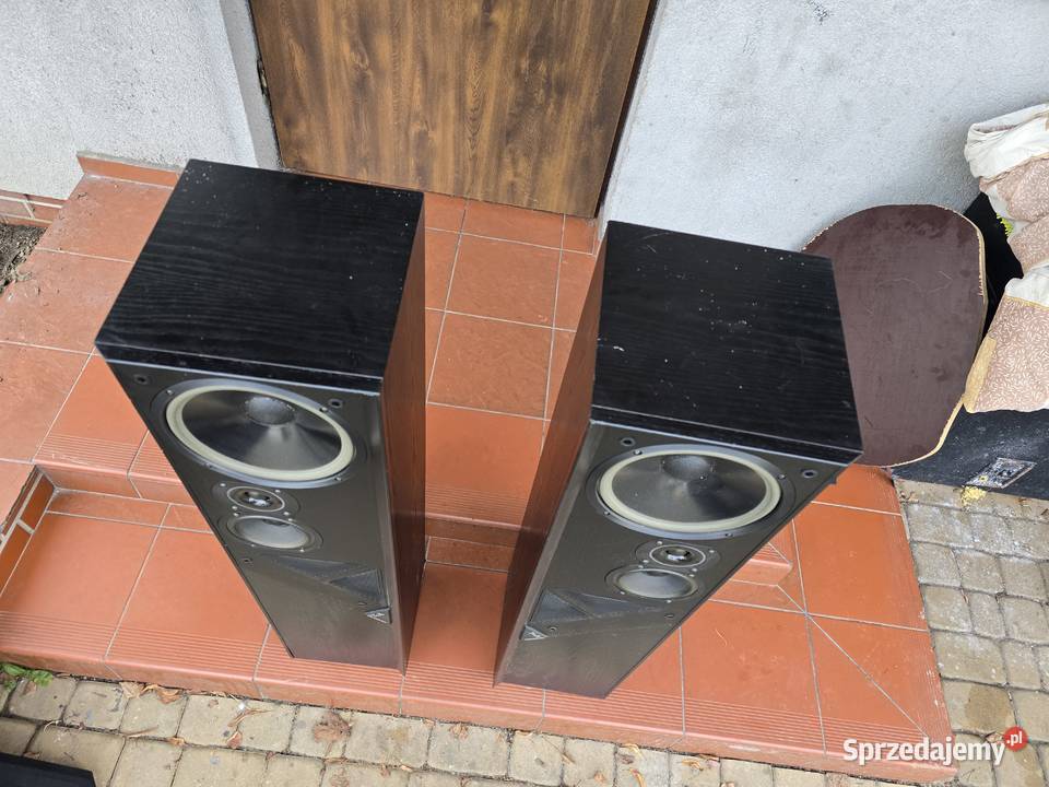 TA Criterion T110E duże kolumny Słuchawki i głośniki Chełm Śląski