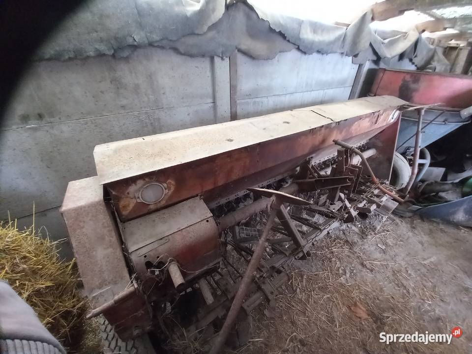 Siewnik Poznaniak Golęczewo