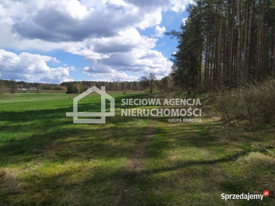 sprzedaży działki 2400 metrów Jałowiec 0m sprzedam