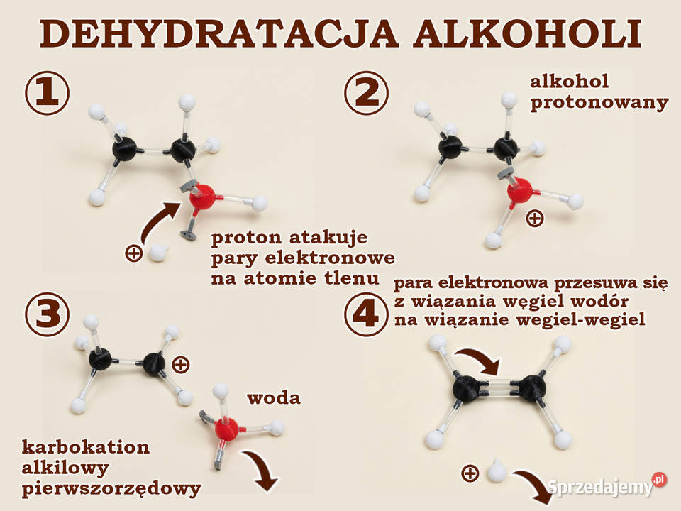 Modele atomów CHEMIA ORGANICZNA szkoła średnia Warszawa