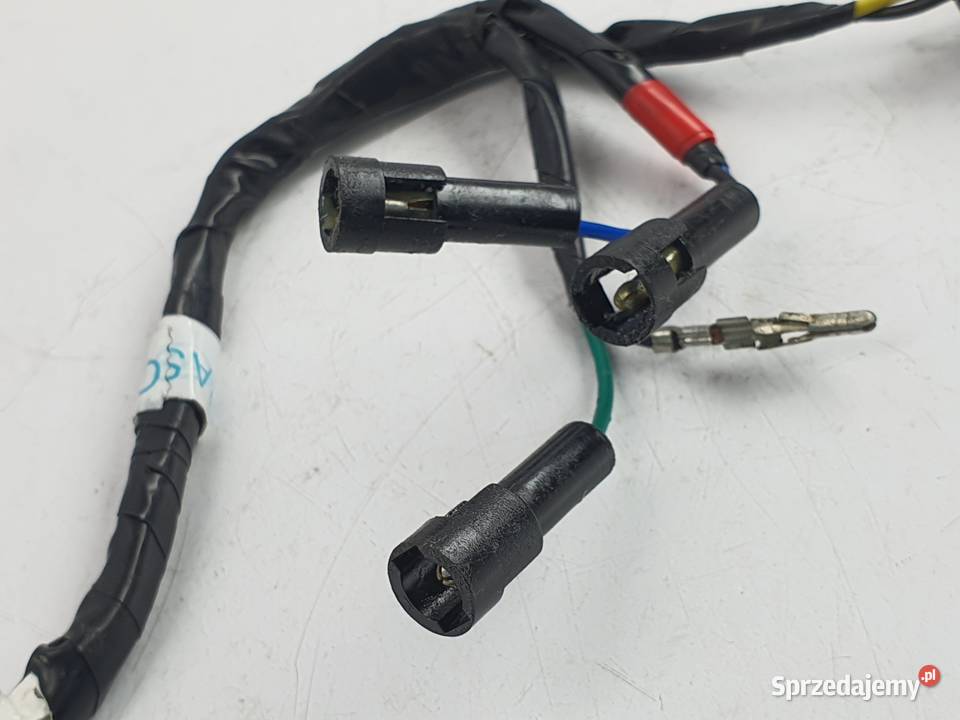 Kosrtka Wtyczka Wiazka Instalacja Triumph Speed Łódź