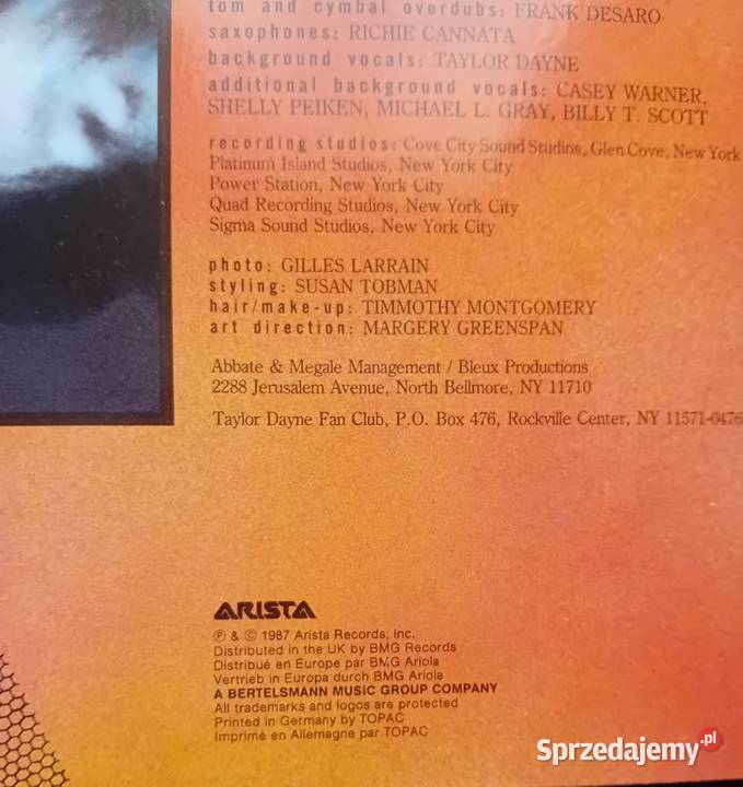 LP Taylor Dayne Tell it to my Heart Arista 1987 wielkopolskie Koźminek sprzedam