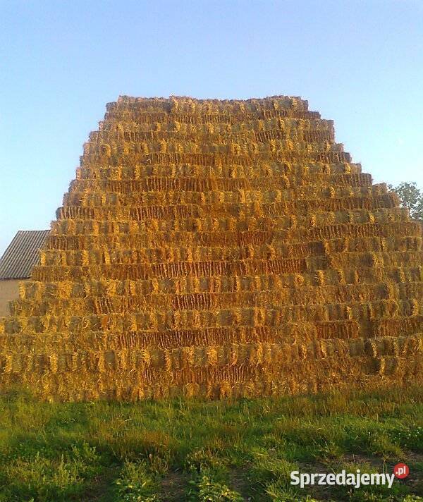 Słoma kostka pszenna mocno zbita Kalina-Rędziny