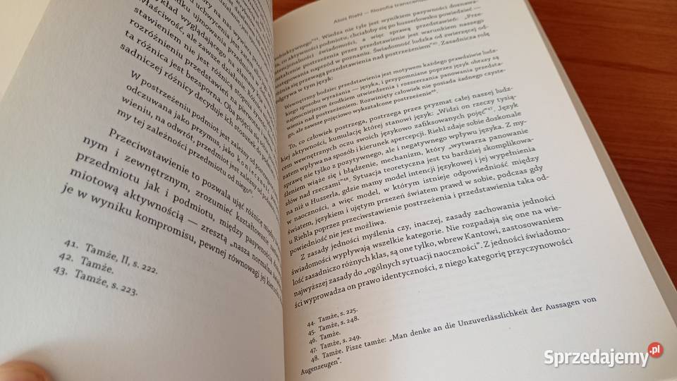 Idea transcendentalizmu Kanta do Wittgensteina Gdańsk