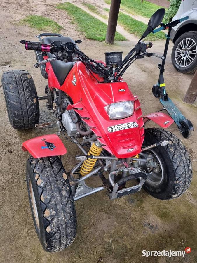 Qad borosa Orzechówko