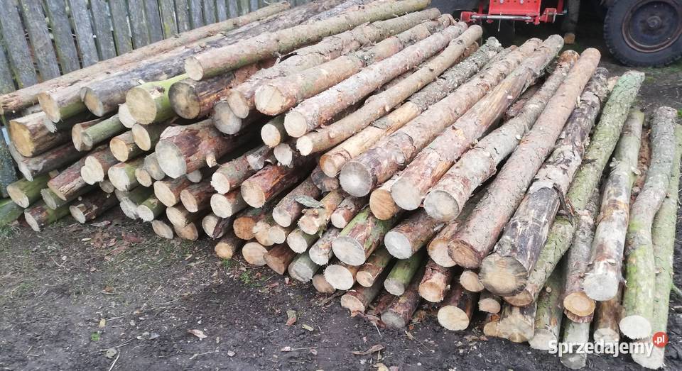 Sprzedam drewno sosnowe opałowe Grajewo