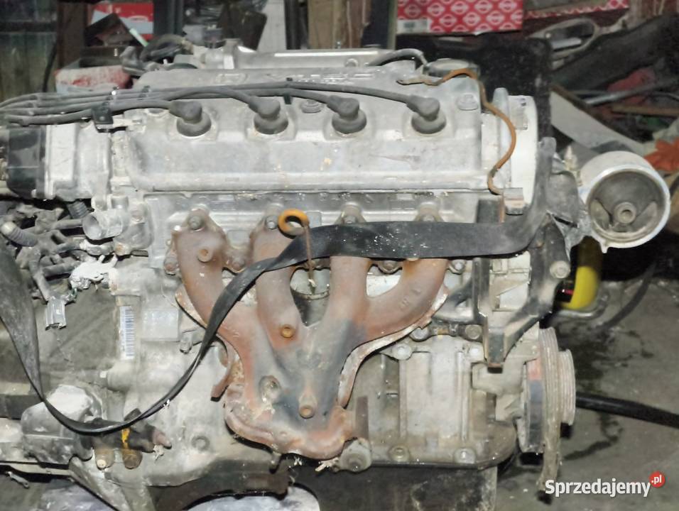Silnik kompletny HONDA CIVIC V D16Z9 COUPE VTEC Pszenno