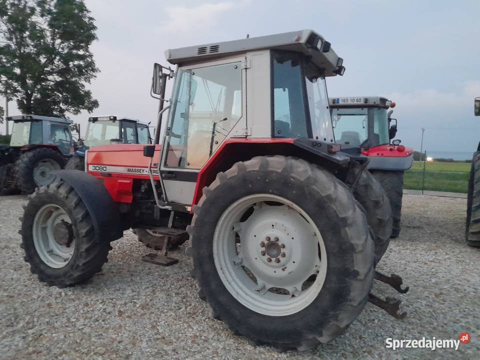 Massey Ferguson 3080 Koźmin Wielkopolski sprzedam
