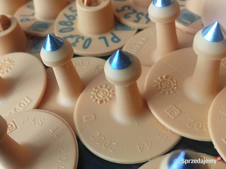 TRZODA kolczyki świń wytrzymałe agencyjne świętokrzyskie Grzymała sprzedam