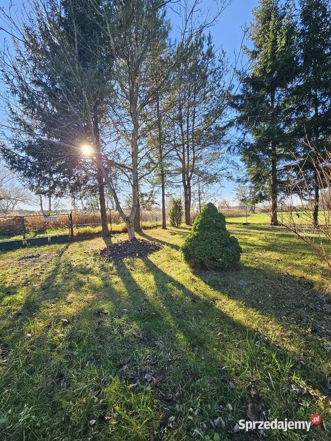 Dom 50m2 plus działka 1306m2 rzeką węglowe mazowieckie Duchnów sprzedam