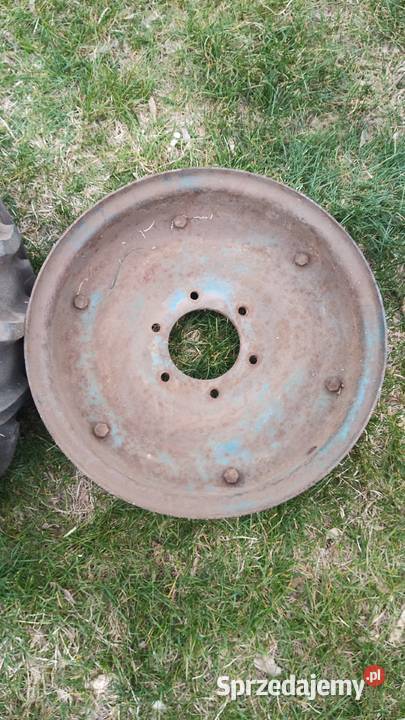 Dzik 21 felgi 16 łódzkie