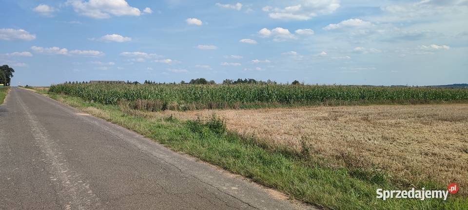 Działka rolna z prawem do zabudowy 19917HA 19917m2 łódzkie