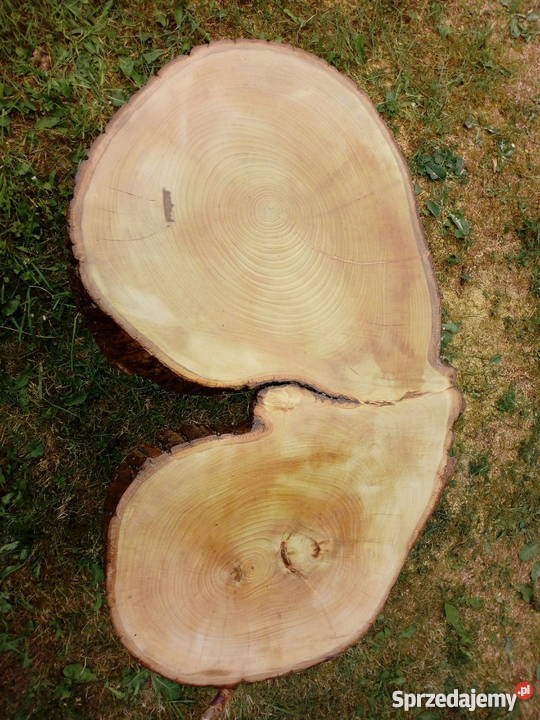 Stolik z plastra PNIA Radońsk