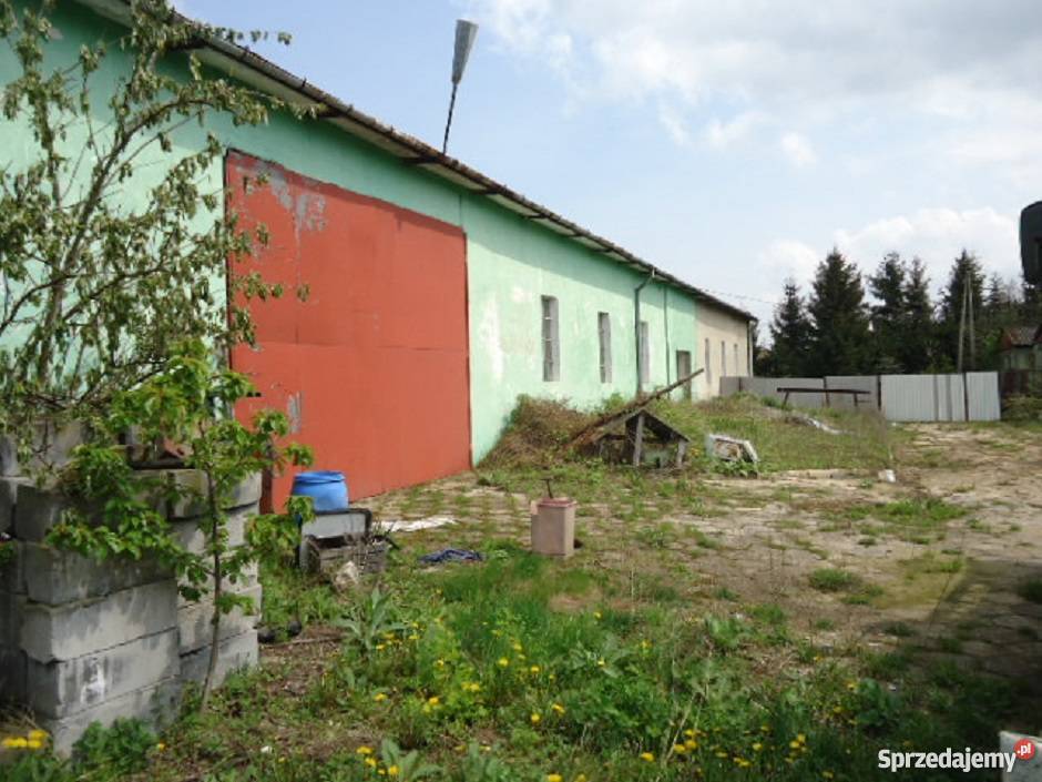 Hale przemysłowe magazyny dom weselny dzałke 1h klimatyzacja Lokale użytkowe Ninków