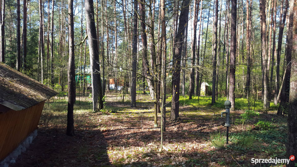 Działka na sprzedaż Wyszków RYBIENKO LEŚNE prąd Wyszków
