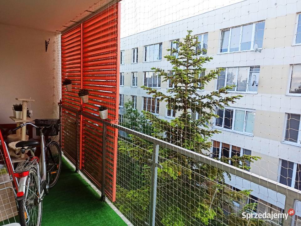 montaż siatki kotów ptaków siatka Dla kotów Bydgoszcz