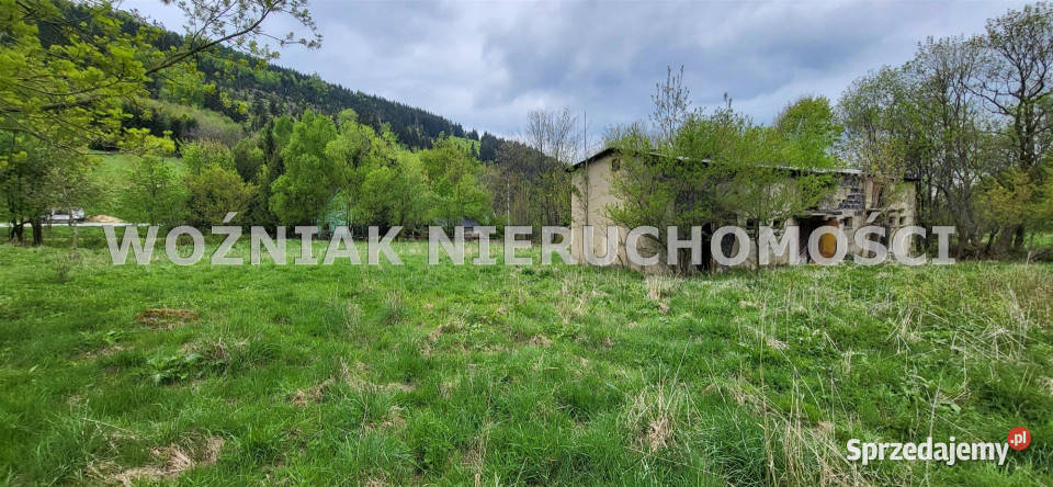 Grunt na sprzedaż 4100m2 Rzeczka