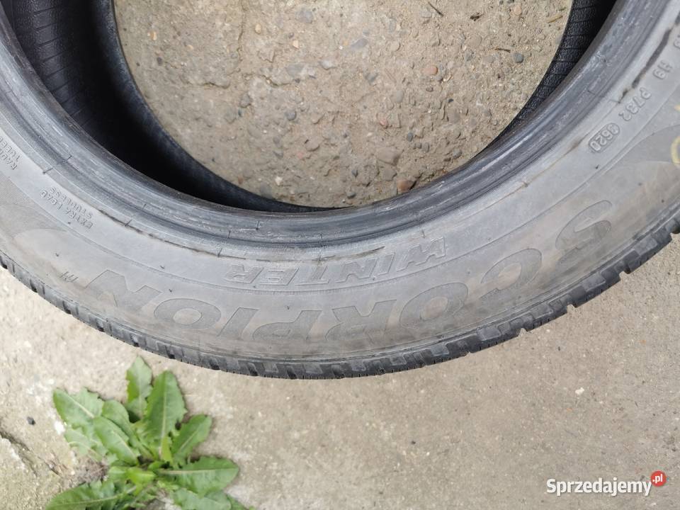 Opony zimowe pirelli 2355518 zima Dębica