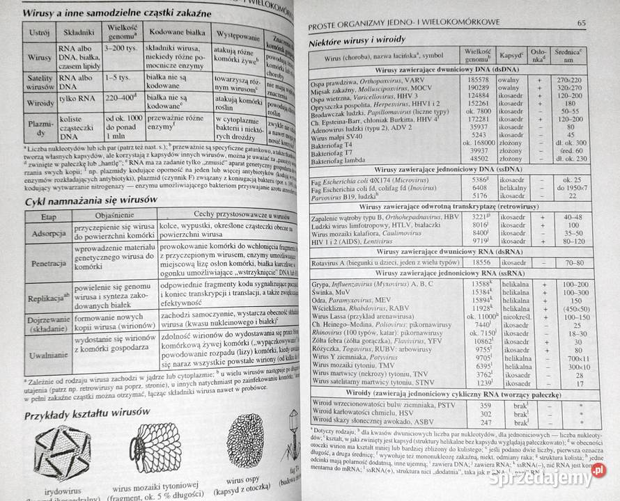 Tablice biologiczne Witold Mizerski Beata Rok wydania 20004 Chełm