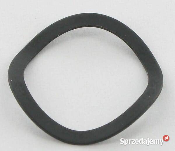 Sprężyna 16956ZE1811