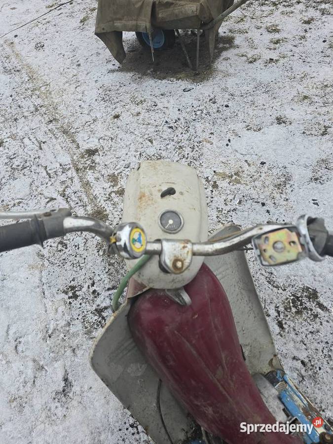 Jawa 50 jawka panterka kaczka skuter kupiony w Polsce sprzedam