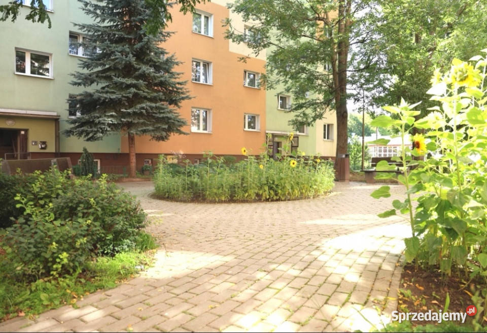 Bezpośrednio 2 pokoje 43 mkw parter Sprzedaż Rzeszów