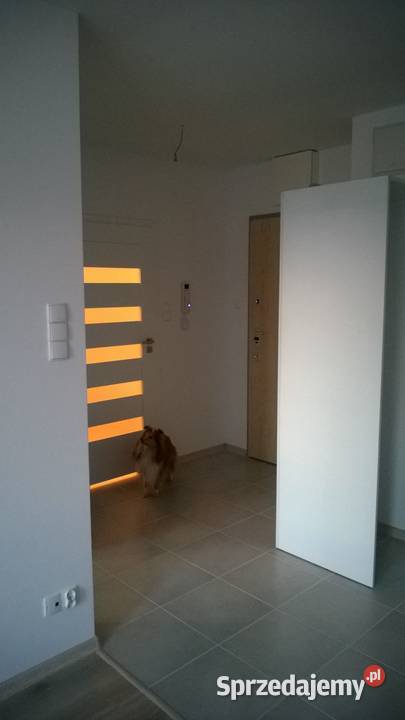 Mieszkanie dwupokojowe Gdańsk Borkowo Wynajem Wynajem